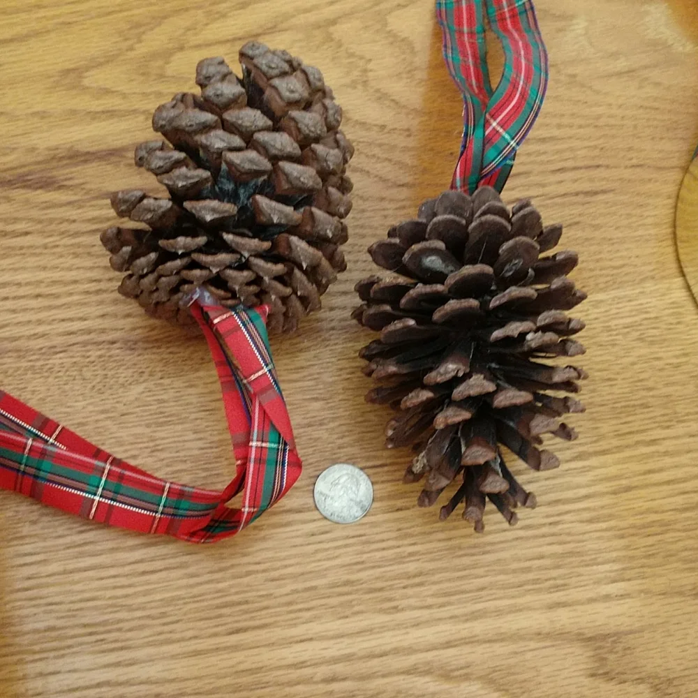 CHRISTMAS PAIR of GIANT Plaid Ribbon Festooned Pinecones